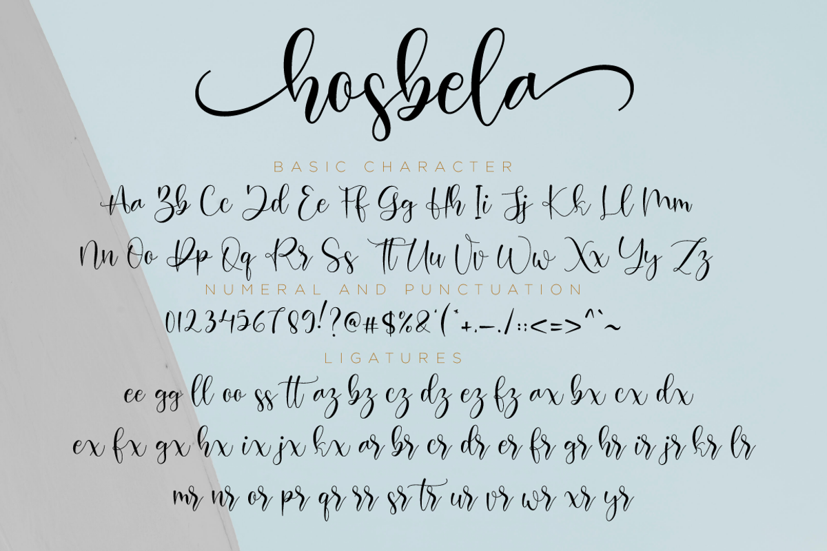 Hosbela Script, a Script Font by Nissa Studio (Photo 11 of 12)