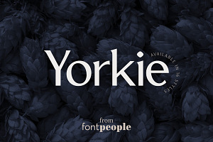 Yorkie font family by Fontpeople