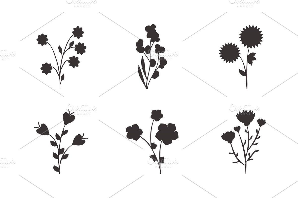 Diverse black floral plant, an Illustration by okskukuruza