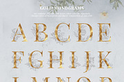 Gold floral alphabet/monograms, an Illustration by Pamyatka Shop (Thumbnail 5 of 12)
