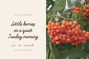 Handwritten font Twinkleberry, a Handwritten Font by Eves_Aquadreams (Thumbnail 2 of 14)