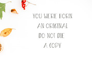 Asma Brush 3 Font Family Pack, a Script Font by Creativetacos (Thumbnail 4 of 5)