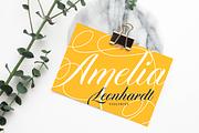 Diploma Script, a Script Font by Latinotype (Thumbnail 5 of 14)
