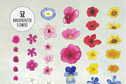 Watercolor Wildflower Collection, an Illustration by Littlefield Design (Thumbnail 4 of 9)