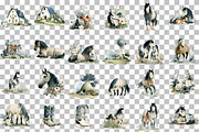 Horse Clipart, Horse Illustration Se, an Illustration by DreamCafeArt (Thumbnail 3 of 6)