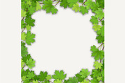 Set of maple tree leaves frames., a Decorative Illustration by belander (Thumbnail 7 of 8)