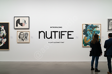 Nutife | Luxury Modern Serif Typefac