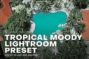 Tropical Moody Lightroom Preset, a Plug-in Add-On by PresetHeroes (Thumbnail 1 of 5)