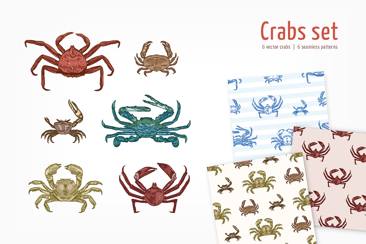 Crabs set + seamless patterns, an Animal Illustration by Good Studio (Photo 1 of 14)