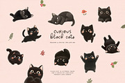 Christmas Curious Cats Collection, a Seasonal Illustration by Muse Artist (Thumbnail 5 of 13)
