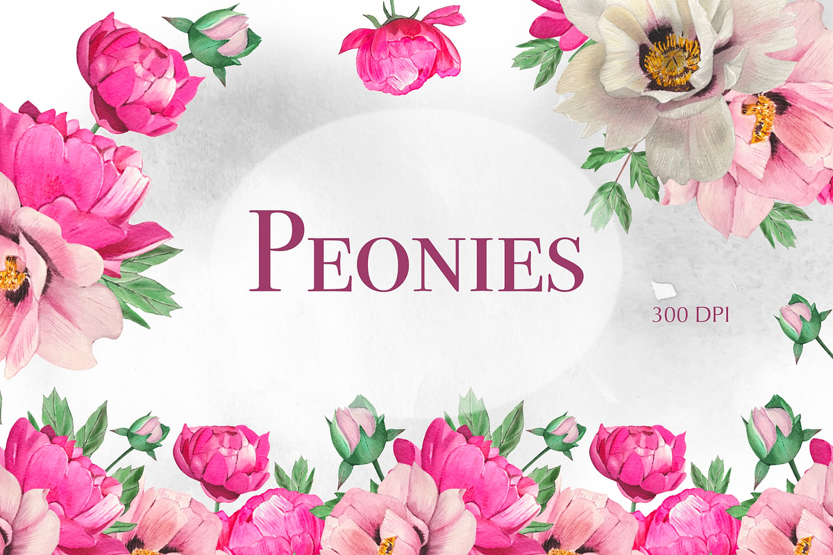 Watercolor Pink Peonies Clipart, an Object Graphic by DiashaArt (Photo 1 of 10)
