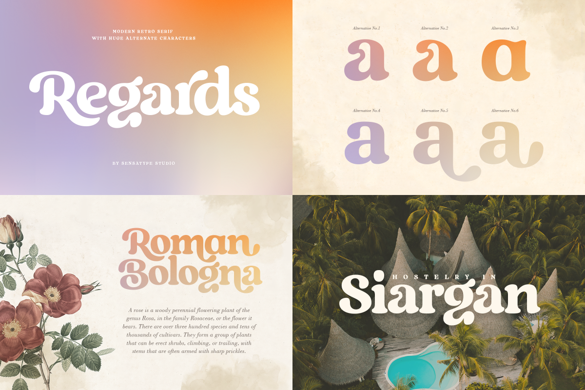 Unique Branding Modern Font Bundle, a Serif Font by Sensatype (Photo 13 of 13)