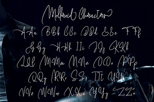 Mollaroid Signature Font