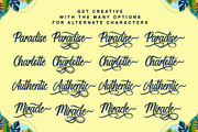 Paradise | Handwriting Calligraphy, a Handwritten Font by Aveni Letter Type (Thumbnail 9 of 14)