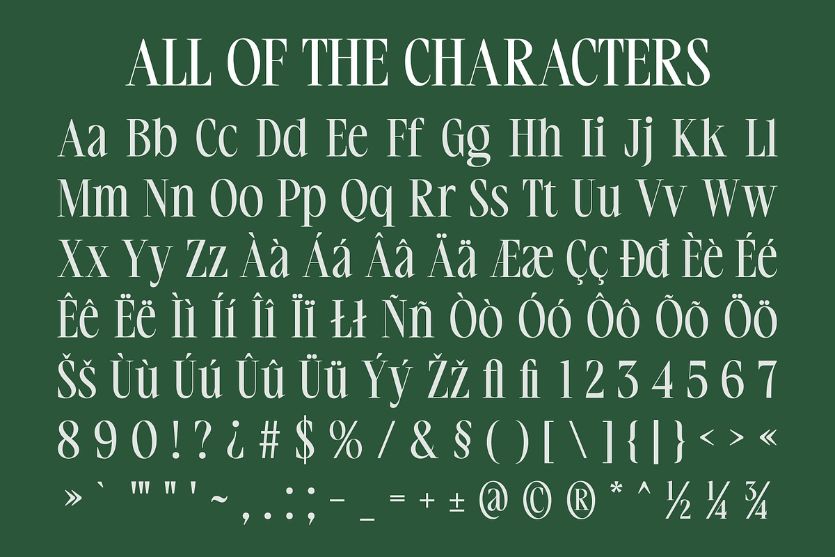 CS Hungary – Classic Font, a Serif Font by Craft Supply Co. (Photo 8 of 8)