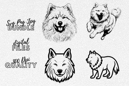 Samoyed SVG - Dog Breeds Clipart