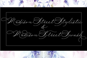 Madison Street Stylistic & Swash