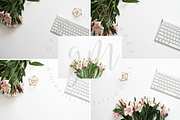 Floral Styled Desktop | 6 Images, a Background Photo by Graceful Market (Thumbnail 2 of 3)