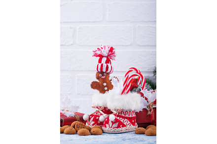 Sinterklaas or Saint Nicholas, a Holiday Photo by Yulia Furman
