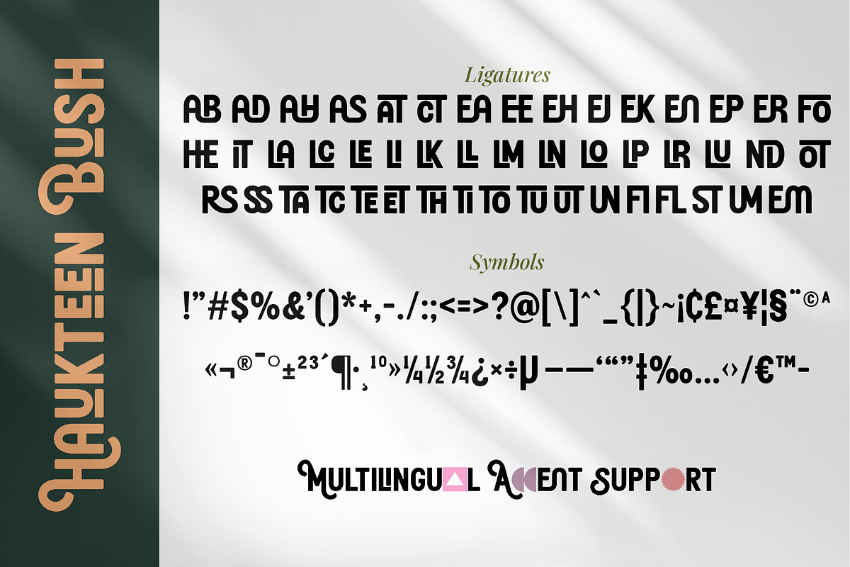 Haukteen Bush – Decorative Font, a Sans Serif Font by Vampstudio (Photo 13 of 13)