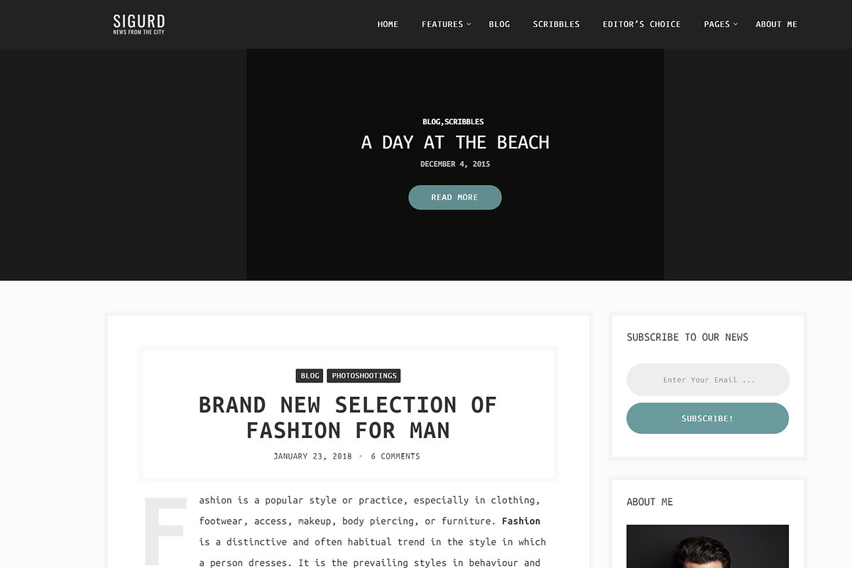 Sigurd – WordPress theme for writers, a WordPress Template by PremiumCoding (Photo 4 of 4)