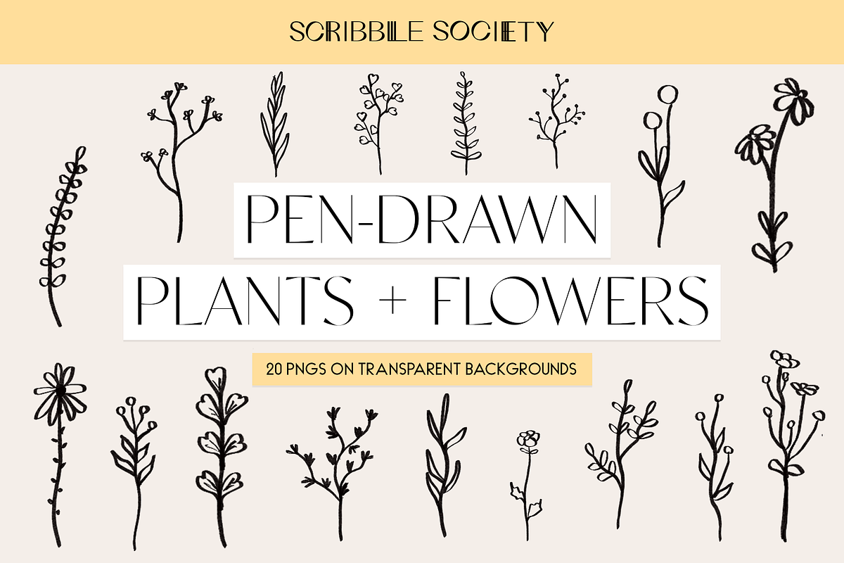 Pen-Drawn Plants and Flowers, a Decorative Illustration by Scribble Society