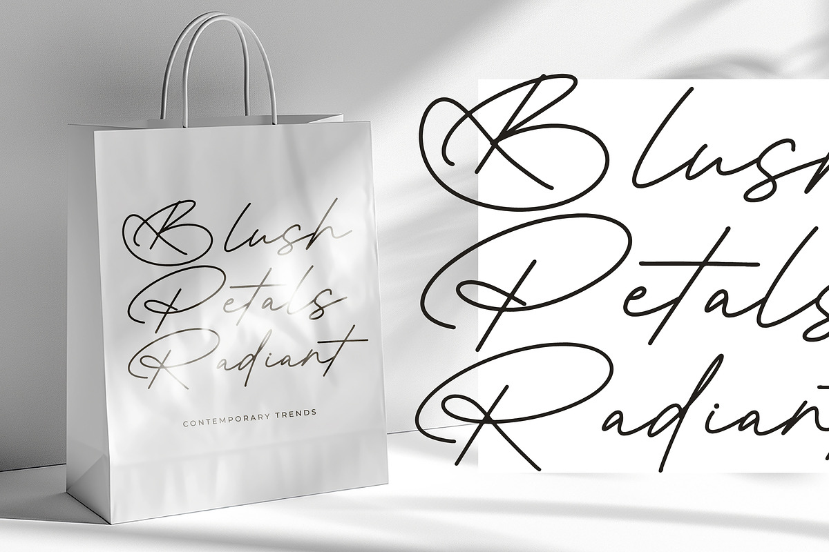 Antique Prestig Stylish Signature, a Script Font by stylishtype.co (Photo 4 of 20)