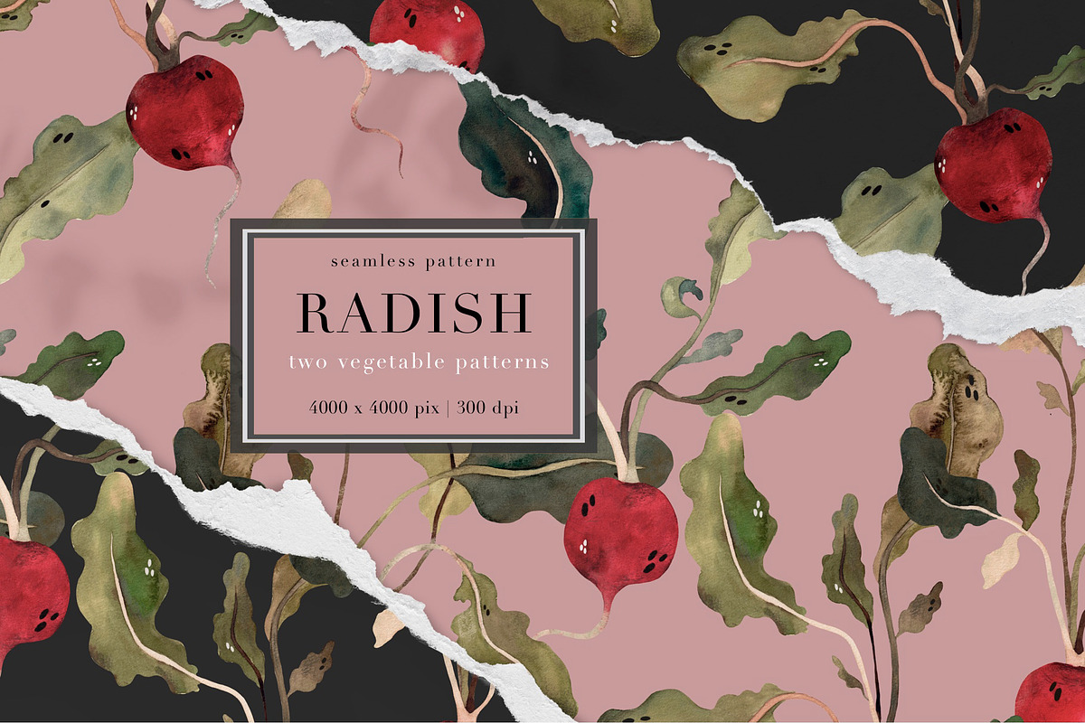 RADISH, a Pattern Graphic by PASHKOVA (Photo 1 of 9)