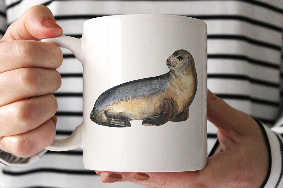 Seals - watercolor set, an Animal Illustration by KatBranchArt (Photo 5 of 6)