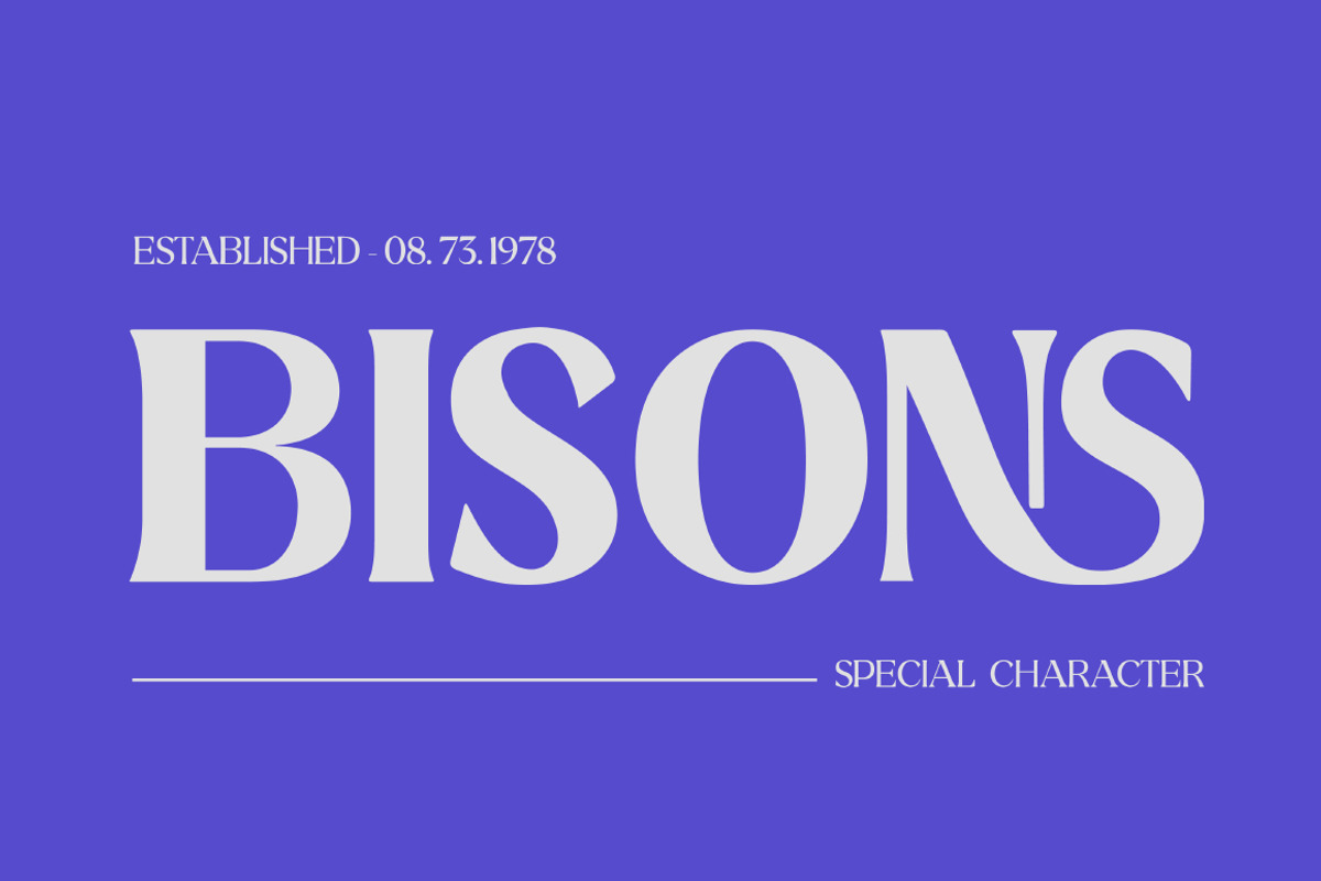 Ridesta Family, a Font by Fontastic (Photo 3 of 11)