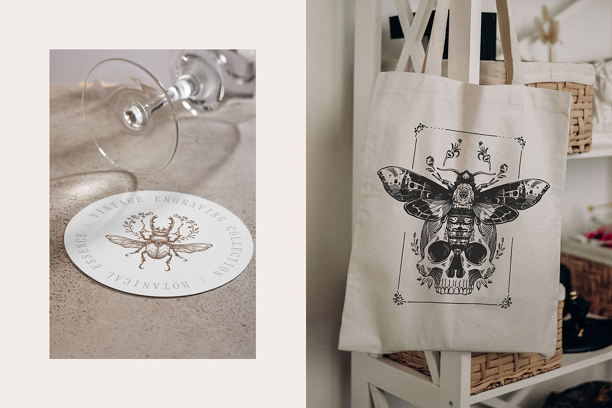 Dark Academia Autumn | Illustration, an Object Illustration by KetteCreate (Photo 7 of 18)