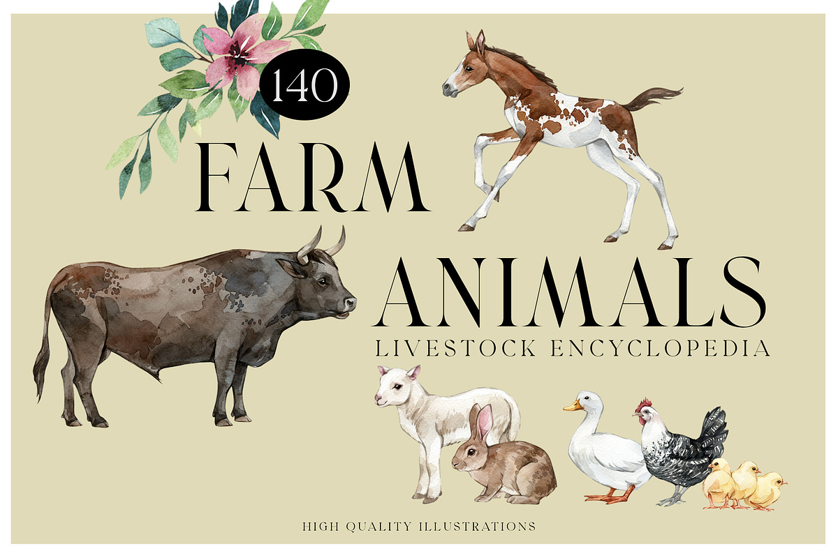 FARM ANIMALS Encyclopedia, an Animal Illustration by Anastezia Luneva (Photo 1 of 14)