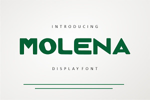 Molena, a Serif Font by Fourteen Letter