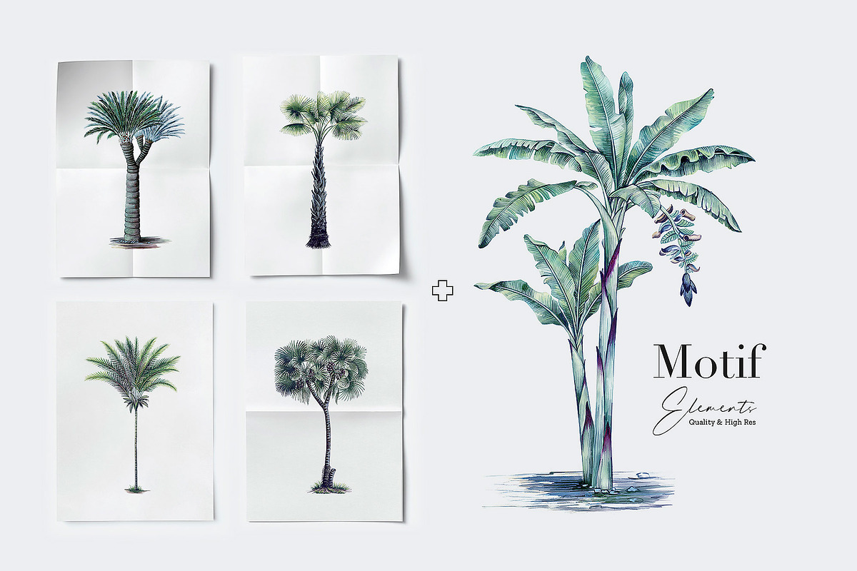 Lush Retreat Prints & Motifs, a Pattern Graphic by TSTUDIO (Photo 5 of 11)