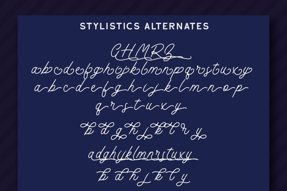 Payland Monoline Script, a Script Font by Rillatype Studio (Photo 9 of 9)