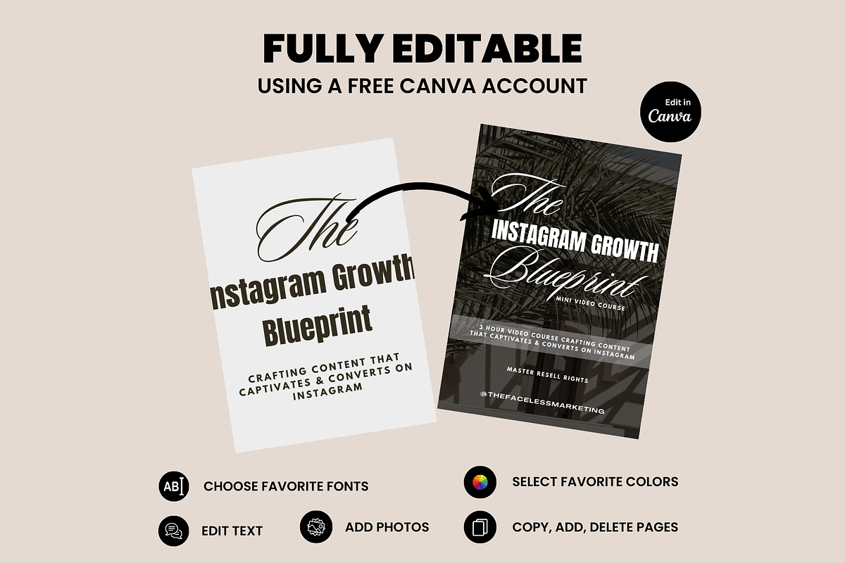 MRR Instagram Growth Course IG PLR, a Social Media Template by Design By Hira (Photo 8 of 9)