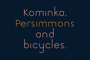 Nishi. Chic, modern sans serif font, a Sans Serif Font by LostandFoundry (Thumbnail 2 of 7)
