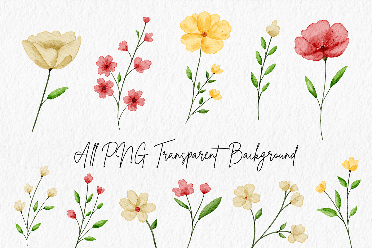 Wildflowers Watercolor Bundle, a Decorative Illustration by An Design (Photo 2 of 8)