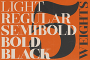 Rockdale, a Serif Font by FactoryType Studio (Thumbnail 2 of 10)