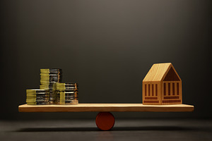 Government balancing economy policy financial management stabili, a Photo by salmon.black
