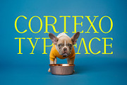 CORTEXO – Modern Serif Typeface, a Serif Font by Foxtype (Thumbnail 7 of 7)