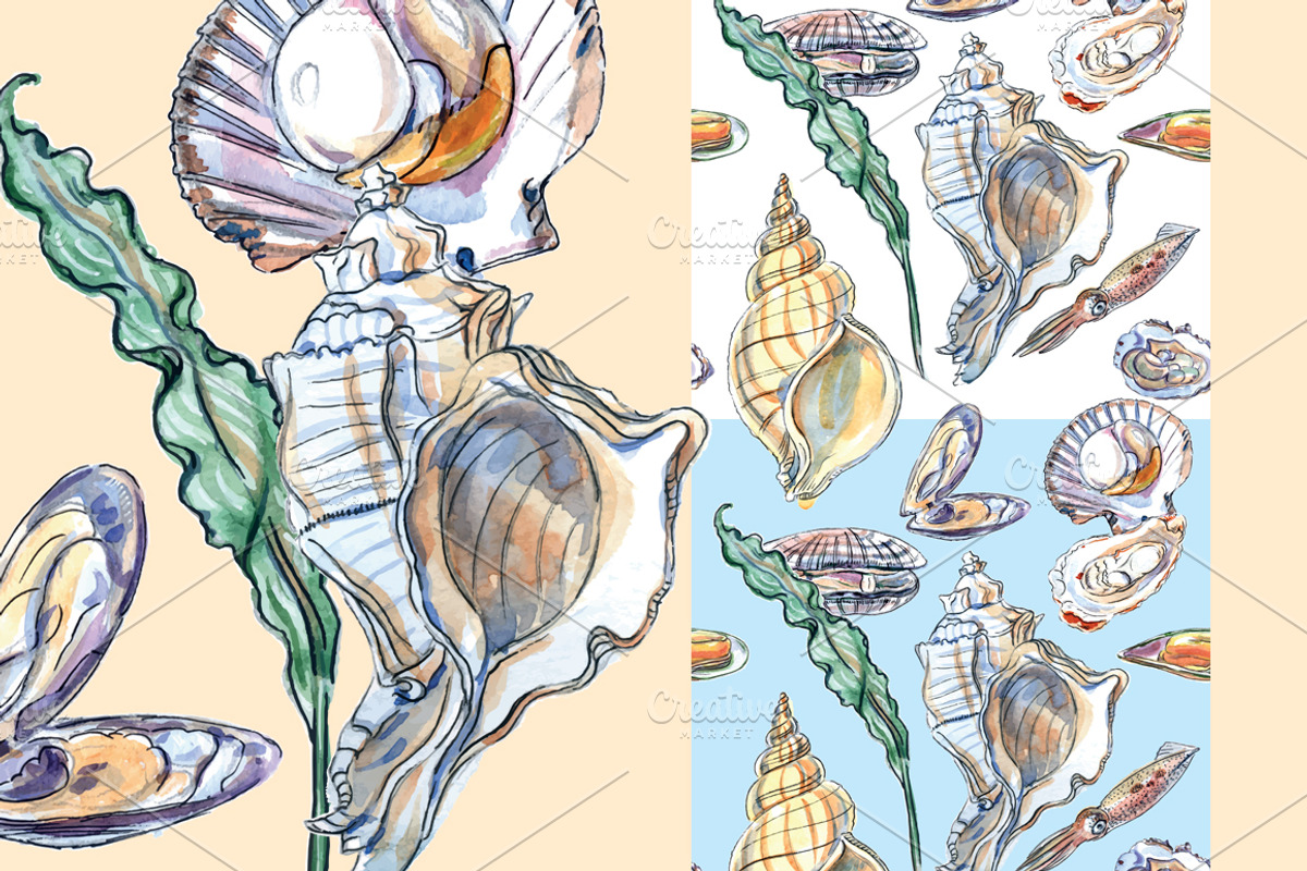 Watercolor shellfish set, an Animal Illustration by miminoshka (Photo 7 of 7)