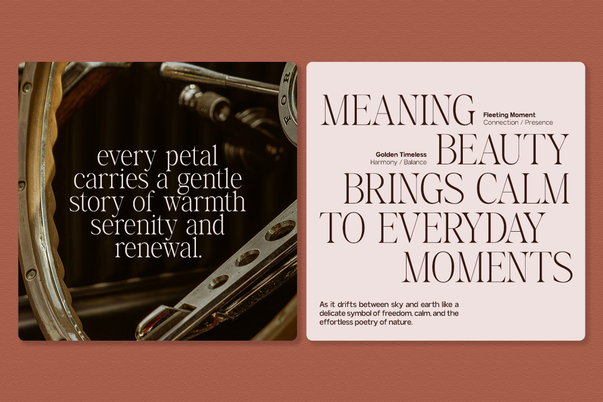 GC Asthera – Modern Display Serif, a Serif Font by Glyphonic (Photo 13 of 15)