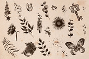 Vintage Maps. Stamp Brushes, a Brush Add-On by Julia_Raketic (Thumbnail 13 of 15)