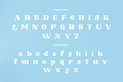 Mistlewood–Vintage Christmas Display, a Serif Font by AN Productions (Thumbnail 2 of 4)