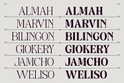 Anria Typeface, a Serif Font by Khoir (Thumbnail 8 of 12)
