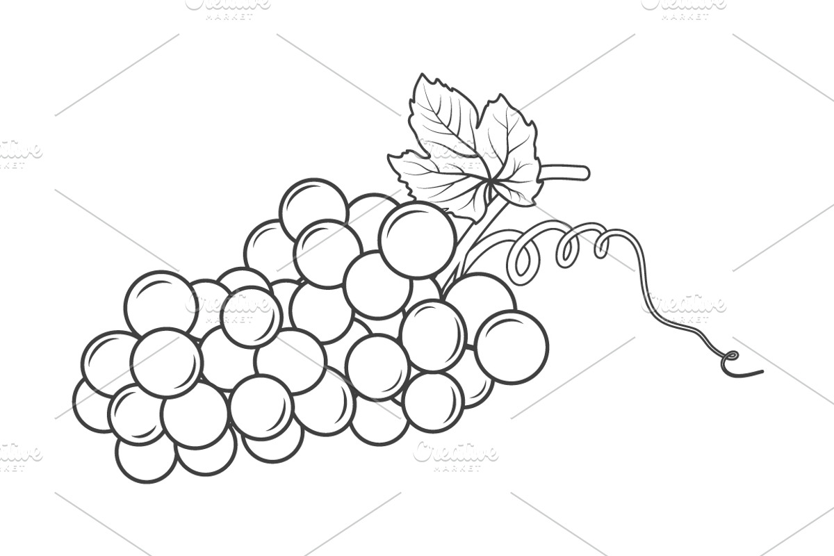 Wine Set. Monochrome Icons, Elements, a Food Illustration by Gomolach (Photo 2 of 13)