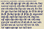 Natural Creation - Decorative Font, a Serif Font by 177Studio (Thumbnail 6 of 8)