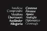 Mizhon Sans| 12 Fonts, a Sans Serif Font by Skinny Type (Thumbnail 7 of 8)