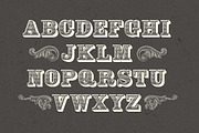 Engraver Font, a Sans Serif Font by alphadesign (Thumbnail 3 of 4)